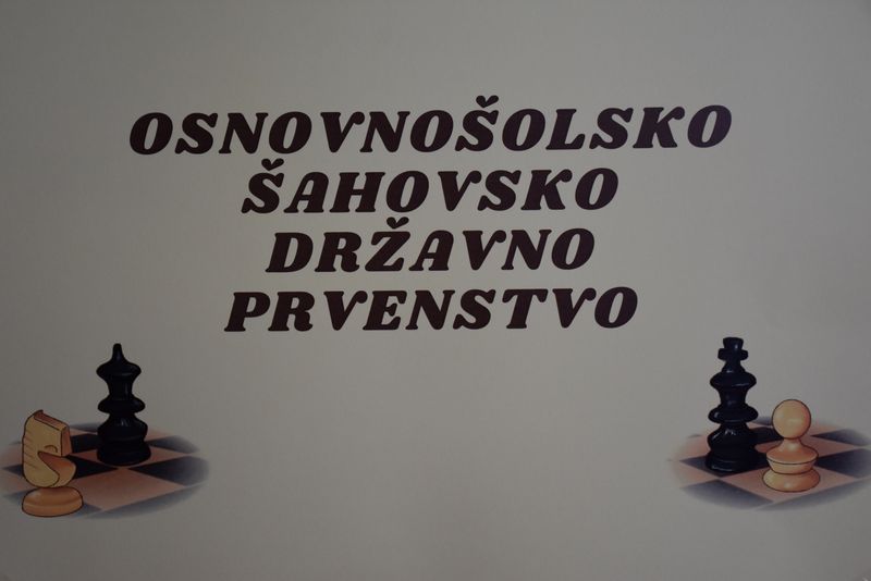Državni podprvak(i) v šahu