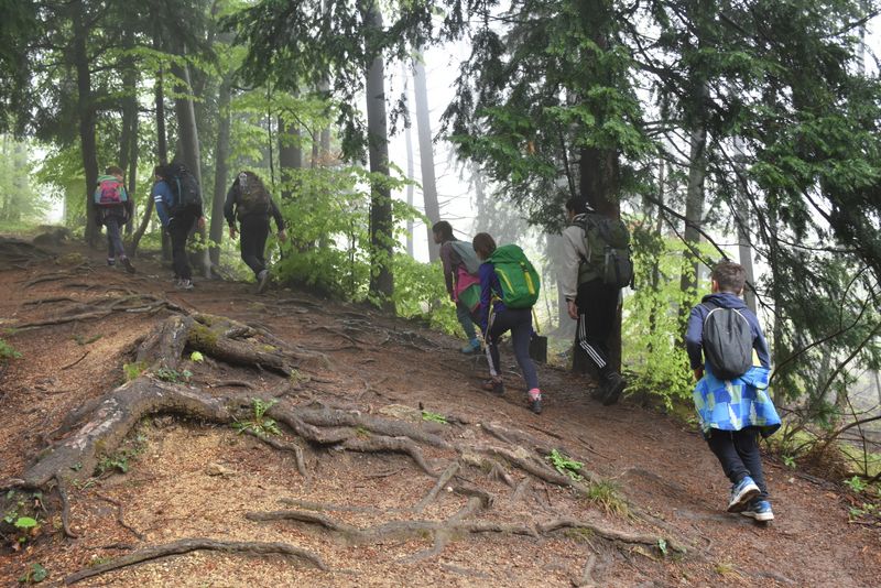 Planinski pohod na Stolpnik