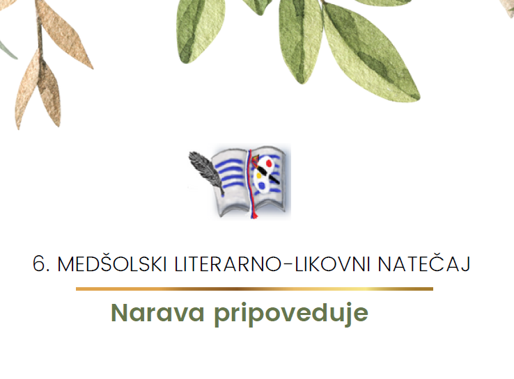 6. MEDŠOLSKI LITERARNO-LIKOVNI NATEČAJ