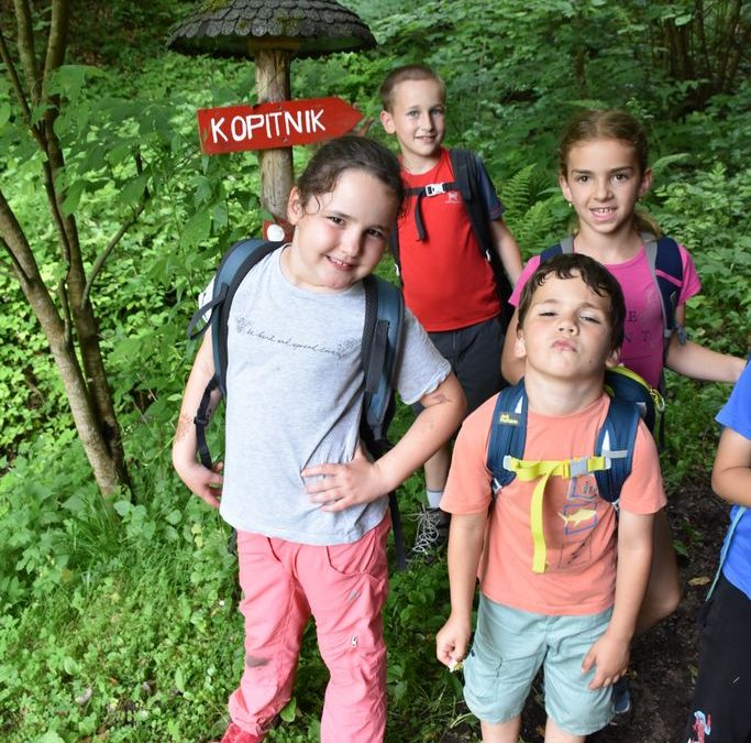 Planinski pohod na Kopitnik