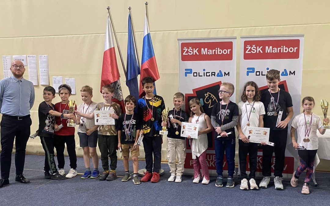 Državni podprvak(i) v šahu