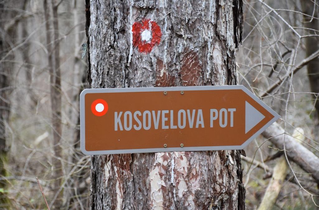 Planinski pohod po Kosovelovi poti